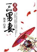 重生一品夫人by凔溟
