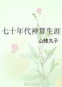 七十年代神算生涯讲的什么