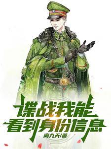 电视剧谍战风云