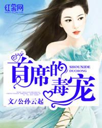 首席宠妻全文免费阅读
