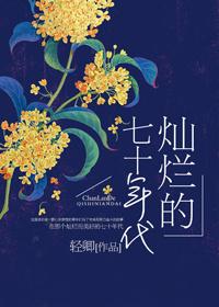 灿烂七十年代无错章