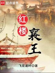 红楼襄王女主有几个