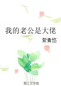 我的老公是大佬结局