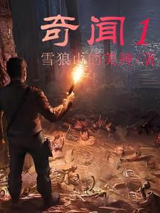 奇闻轶事后续