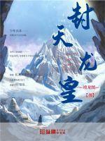 天龙皇袍