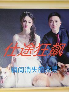 仕途免费阅读