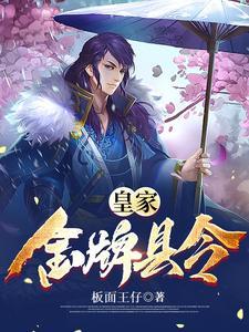 金牌县令txt