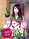 天才高手txt