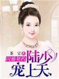 陆少宠妻请低调