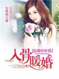 入骨暖婚2616章