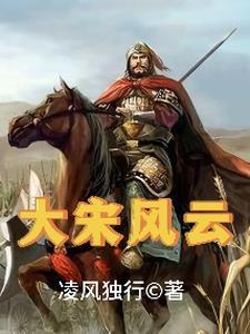 大宋风云志