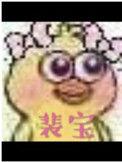 裴宝伦