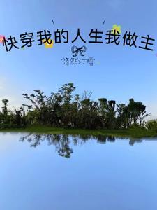 我的快穿人生txt