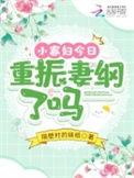小寡妇受宠日常