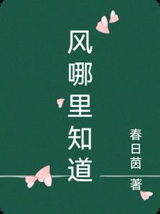 从哪里能看到风