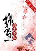 锦衣卫攻