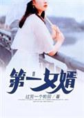 第一女婿李艳傅平