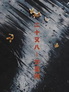 二十十×25