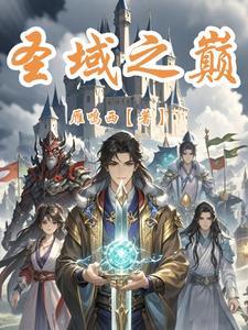 圣域是啥