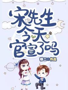 宋先生是男是女