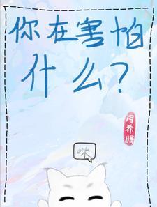 小猫咪舞蹈考试