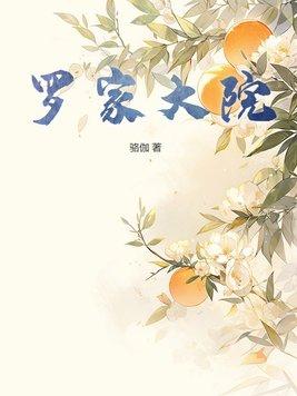 元通古镇罗家大院简介