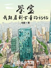 我能看到古董的记忆起点