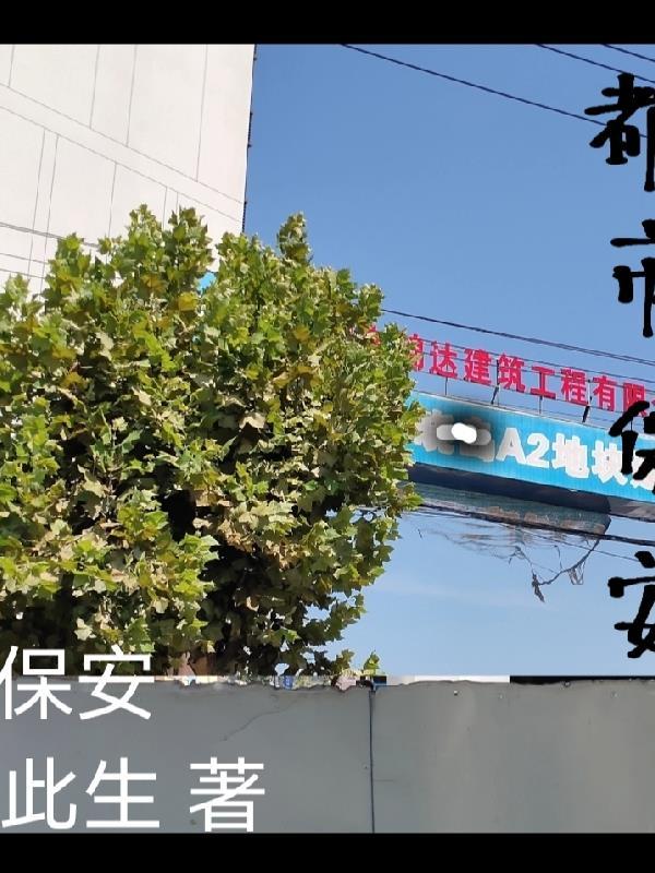 都市保安罗军丁涵免费阅读