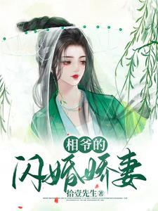 相爷家的悍妻全文