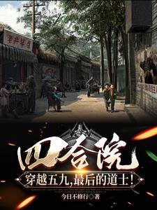 四合院5进