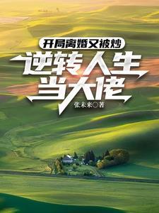 开局是离婚的