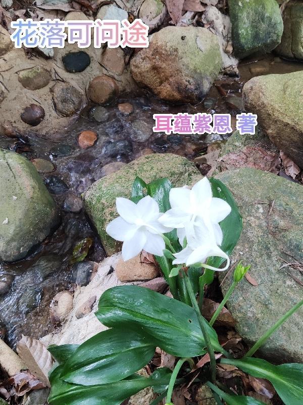 花落花半途