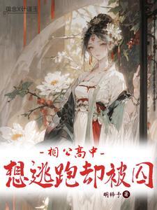 hi相公免费
