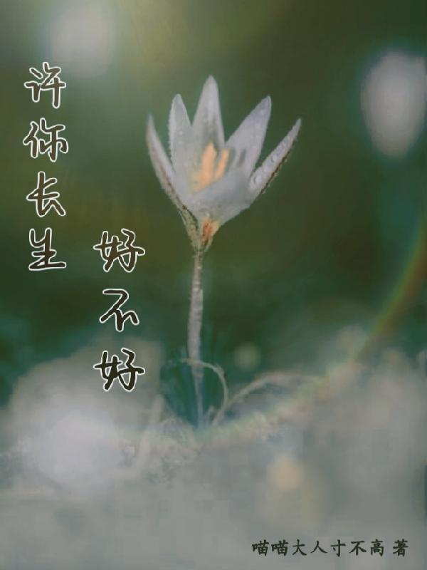 许你一生长相思40章