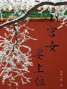 小宫女上位记短剧全集