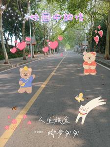 校园情节