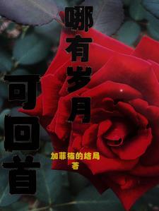 哪有岁月可回头下一句
