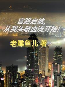 官路高升起点