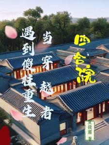 四合院傻柱也是穿越者?盗版