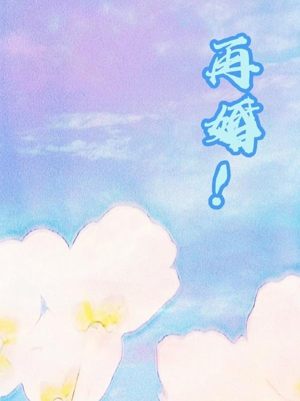 再婚短剧