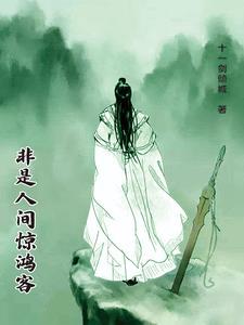 何来人间惊鸿客 只是人间一俗人