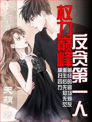 权力巅峰免费阅读正版