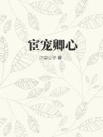 宦宠第几章