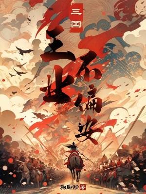 三国王业不偏安无错版