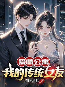 爱情公寓之我的女友是