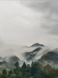神秘复苏原版