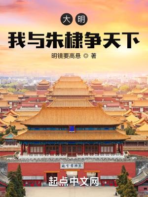 大明风华之我是朱棣