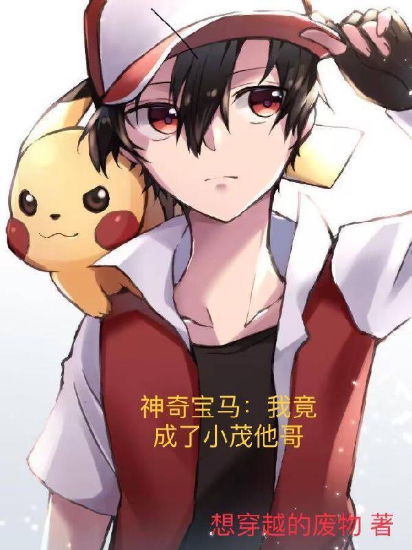 主角是小茂的神奇宝贝名