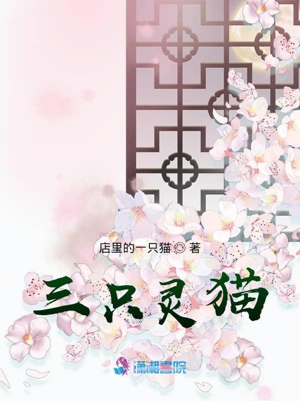 三只猫咪叫什么名字