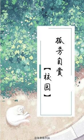 孤芳自赏?